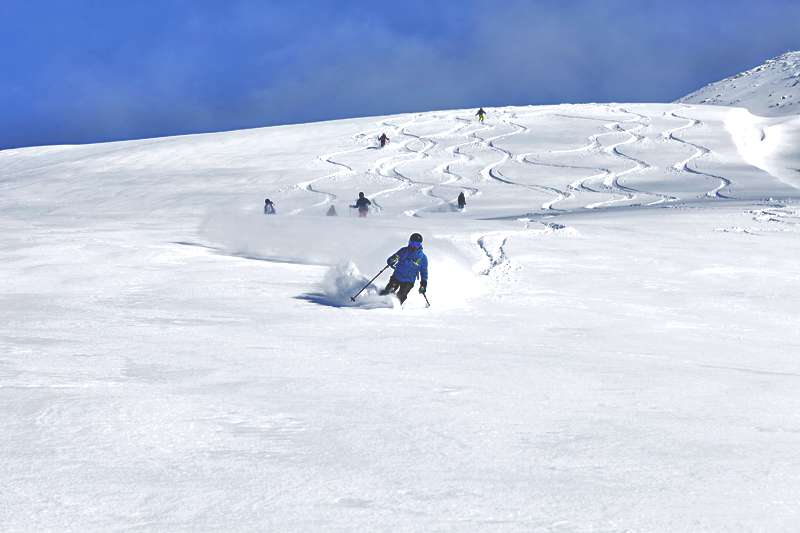 dr. snow freeride day